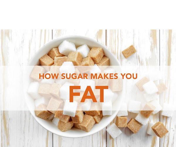 Why Sugar Makes You Fat The Processed, The White, The Highly Addictive.